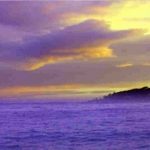 Prince: nel 2013 postò su twitter un brano di Celentano. Si trattava di “L’Unica Chance”, ora lo ricorda un fan